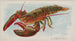 Homard - Allen Ginter — widok dzieła