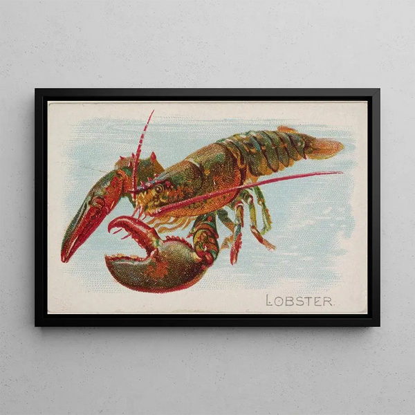 Homard - Allen Ginter — oprawiony obraz na ścianie