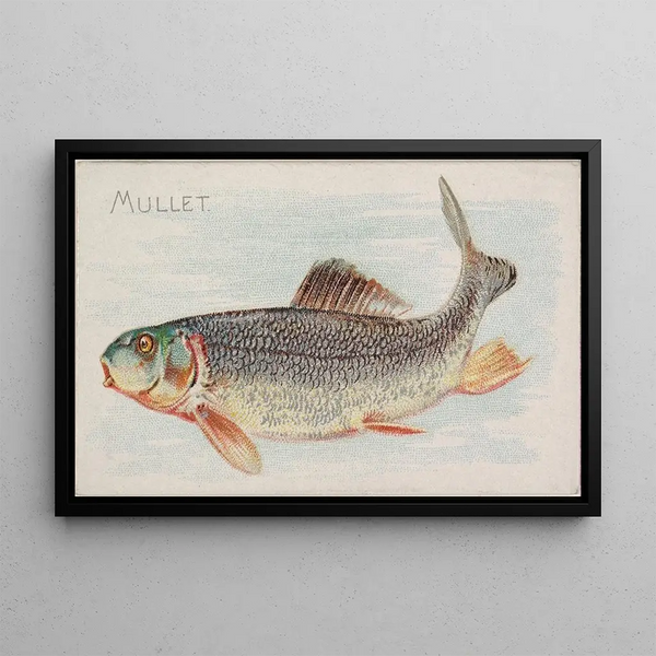 Mulet - Allen Ginter — oprawiony obraz na ścianie