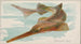 Poisson-scie - Allen Ginter — widok dzieła