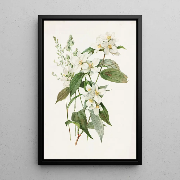 Alois Lunzer - Mock Orange or Syringa.webp