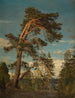 Starych drewno sosnowe w Setesdal - Amaldus Nielsen — widok dzieła