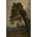 Vieux Gudbrandsdal - Amaldus Nielsen — widok dzieła