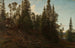 Vingersheia Telemark - Amaldus Nielsen — widok dzieła