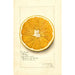 Reprodukcja obrazu Citrus paradisi Navel - Amanda Almira Newton
