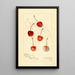 Reprodukcja obrazu Prunus avium Centennial - Amanda Almira Newton