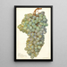 Reprodukcja obrazu Vitis Almeria - Amanda Almira Newton