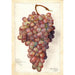 Vitis Angelina - Amanda Almira Newton — widok dzieła