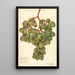 Vitis Muscat d'Alexandrie - Amanda Almira Newton — oprawiony obraz na ścianie