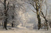 Las zimą - Anders Andersen-Lundby — widok dzieła