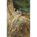 Reprodukcja obrazu Nimfa miłości - Anders Zorn
