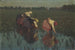 Pola ryżowe - Angelo Morbelli — widok dzieła