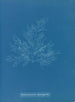 Bonnemaisonia asparagoides - Anna Atkins — widok dzieła