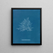 Róży Callithamnion - Anna Atkins — oprawiony obraz na ścianie