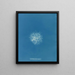 Callithamnion roseum - Anna Atkins — oprawiony obraz na ścianie