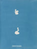 Calothrix cresswelliae - Anna Atkins — widok dzieła