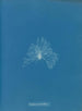 Nieprzemakalna ceramika - Anna Atkins — widok dzieła