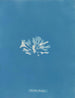 Chondrus brodii - Anna Atkins — widok dzieła