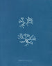Chondrus norvegicus - Anna Atkins — widok dzieła