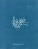 Chylocladia articulé - Anna Atkins — widok dzieła