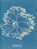 Chylocladia ovalis - Anna Atkins — widok dzieła