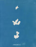 Przyleganie do kodeksu - Anna Atkins — widok dzieła