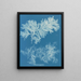 Comparer mince - Anna Atkins — oprawiony obraz na ścianie