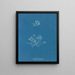 Skale koralowe - Anna Atkins — oprawiony obraz na ścianie