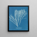 Couverts multifida - Anna Atkins — oprawiony obraz na ścianie