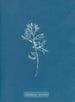 Cystoseira ericoides - Anna Atkins — widok dzieła