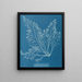 Cystoseira granulata - Anna Atkins — oprawiony obraz na ścianie