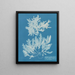 Delesseria sinuosa z margines ciliaire z owocem - Anna Atkins — oprawiony obraz na ścianie