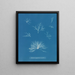 Delesseria hypoglossum w owocach - Anna Atkins — oprawiony obraz na ścianie
