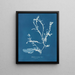 Delesseria sanguinea en fruit - Anna Atkins — oprawiony obraz na ścianie