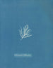 Ectocarpus littoralis - Anna Atkins — widok dzieła