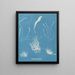 Enteromorpha compressa - Anna Atkins — oprawiony obraz na ścianie