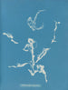 Enteromorpha ramulosa - Anna Atkins — widok dzieła