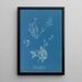 Reprodukcja obrazu Exilaria crystallinum parasitique - Anna Atkins