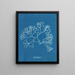 Fucus Machaii - Anna Atkins — oprawiony obraz na ścianie