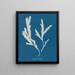 Lame de scie - Anna Atkins — oprawiony obraz na ścianie