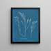 Bourdon tuberculeux - Anna Atkins — oprawiony obraz na ścianie