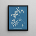 Fucus vesiculosus var. linéaire - Anna Atkins — oprawiony obraz na ścianie