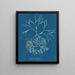 Furcellaria fastigiata - Anna Atkins — oprawiony obraz na ścianie