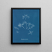 Gelures cornéennes - Anna Atkins — oprawiony obraz na ścianie