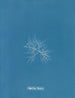 C'est à toi - Anna Atkins — widok dzieła
