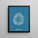 Halymenia furcellata - Anna Atkins — oprawiony obraz na ścianie