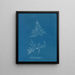Laurencia dasyphylla - Anna Atkins — oprawiony obraz na ścianie