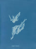 Lyngbya majuscula - Anna Atkins — widok dzieła