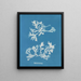 Phyllophora rubens - Anna Atkins — oprawiony obraz na ścianie