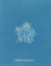 Plocamium cramoisi dans les fruits - Anna Atkins — widok dzieła